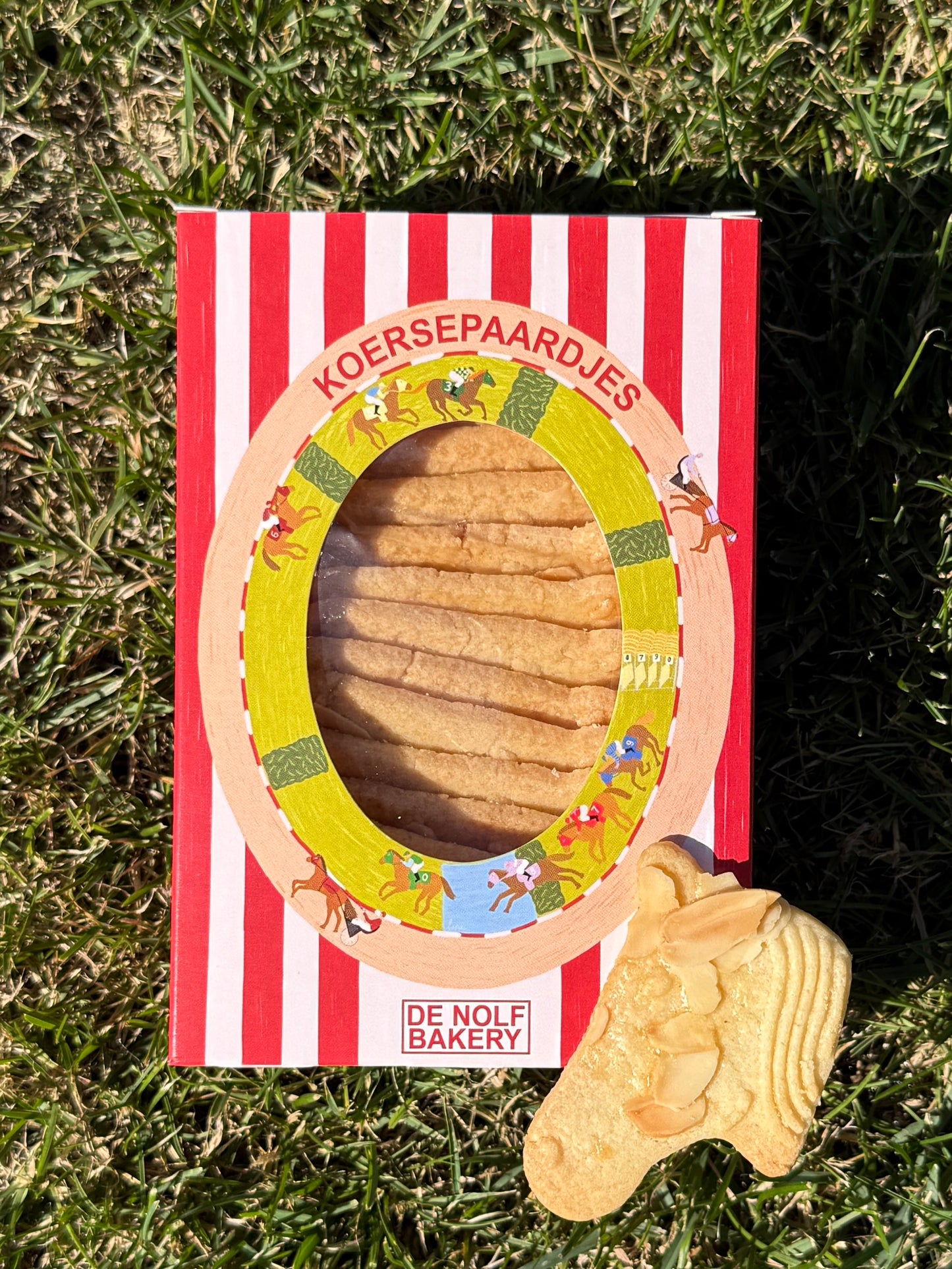 Koersepaardjes